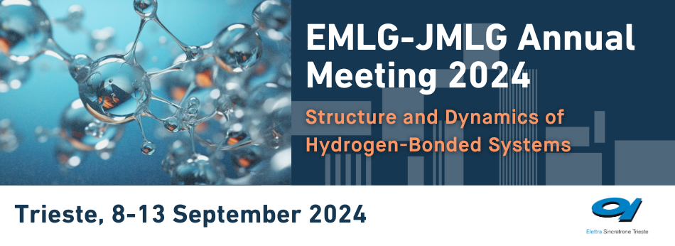 EMLG-JMLG Annual Meeting 2024 Structure and Dynamics of Hydrogen bonded Systems