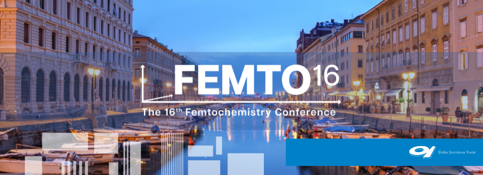 The 16th Femtochemistry Conference (FEMTO16)