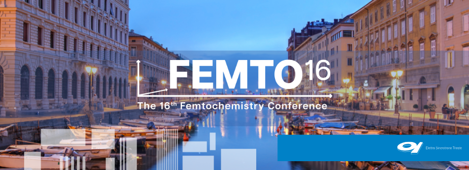 The 16th Femtochemistry Conference (FEMTO16)